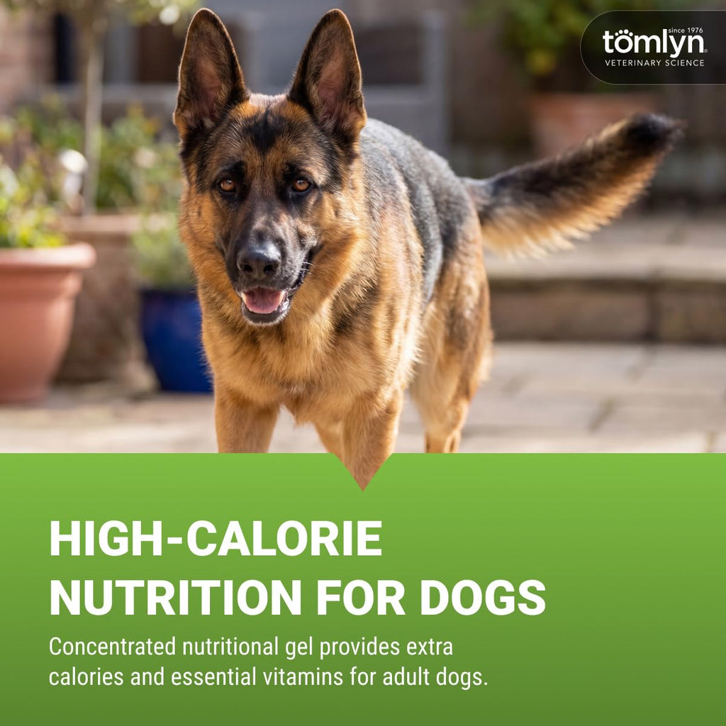 Malt-Flavored High-Calorie Nutritional Gel for Dogs, 4.25oz U52331