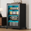 Black Media Cabinet with Glass Door D1201