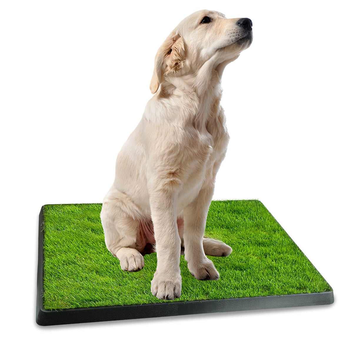Indoor Dog Potty Grass Pad with Tray Z60345