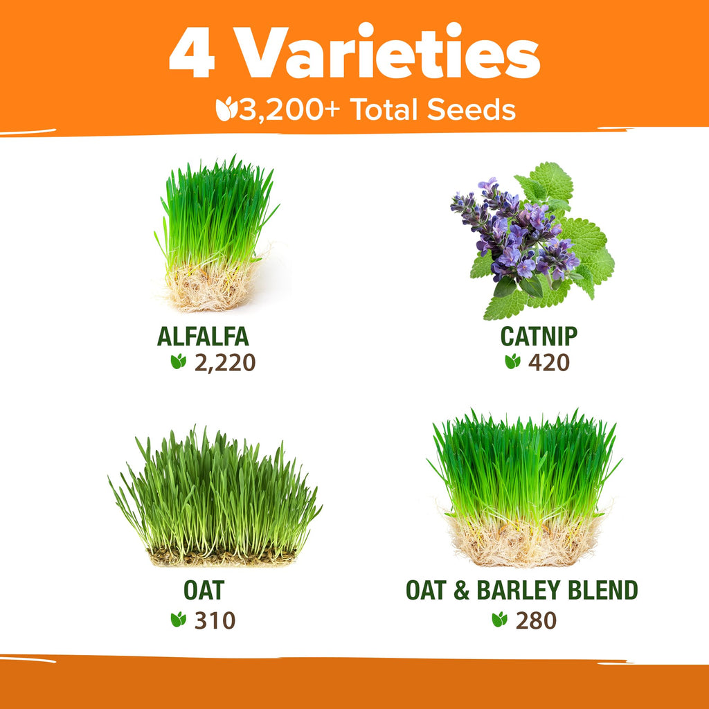 Indoor Cat Grass Refill 3,200+ Seeds W969840