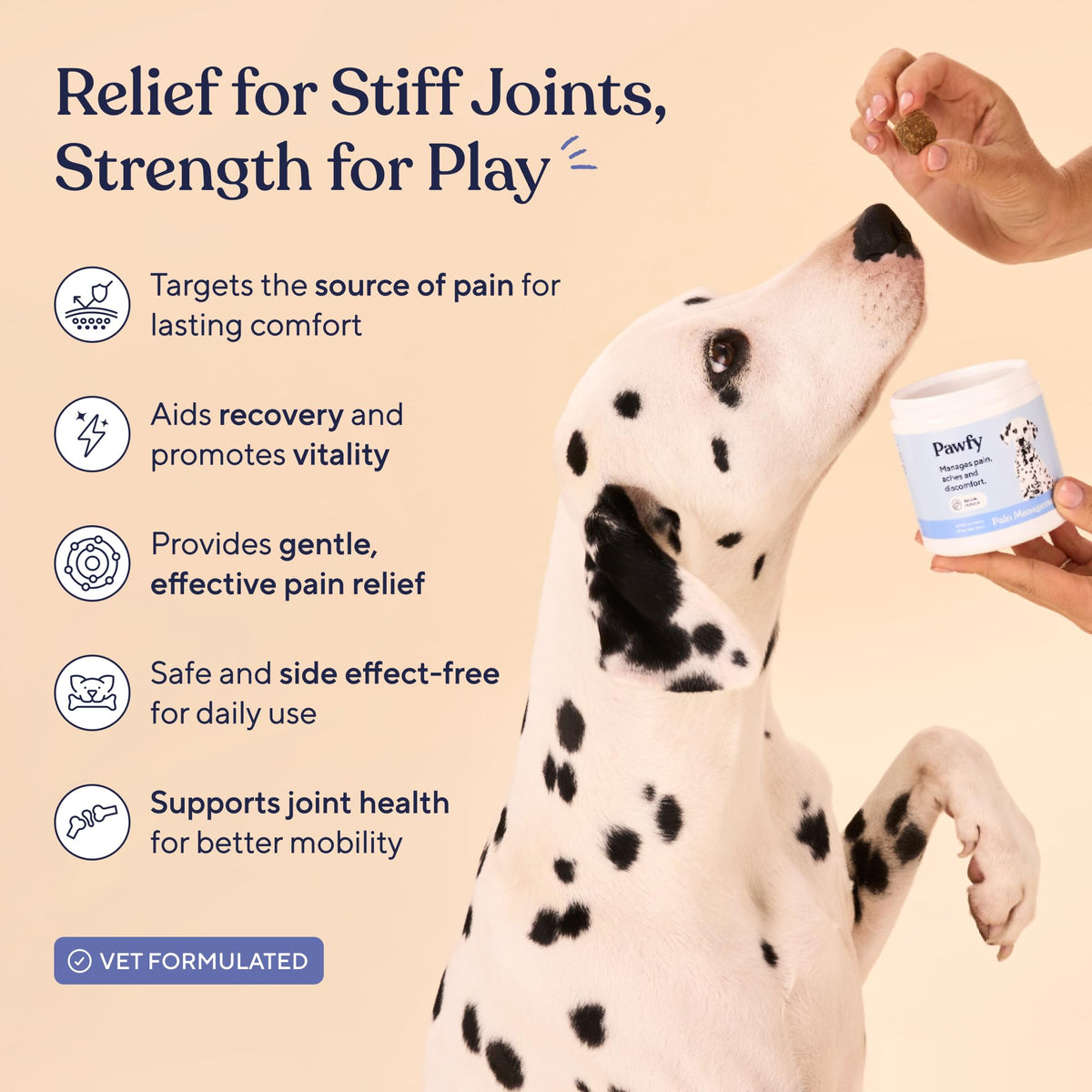 Hip & Joint Supplement for Dogs A8401