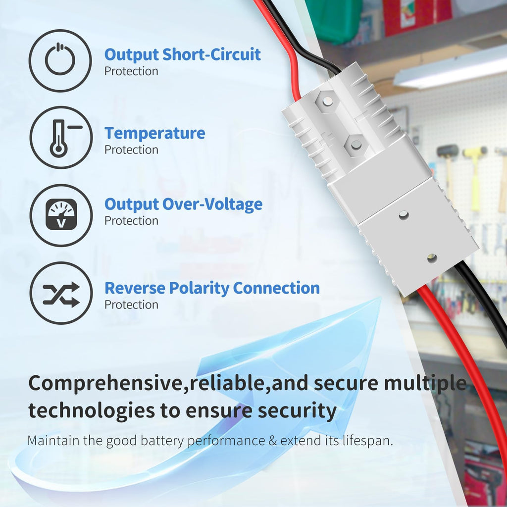 12V 100Ah LiFePO4 Battery with Charger U992