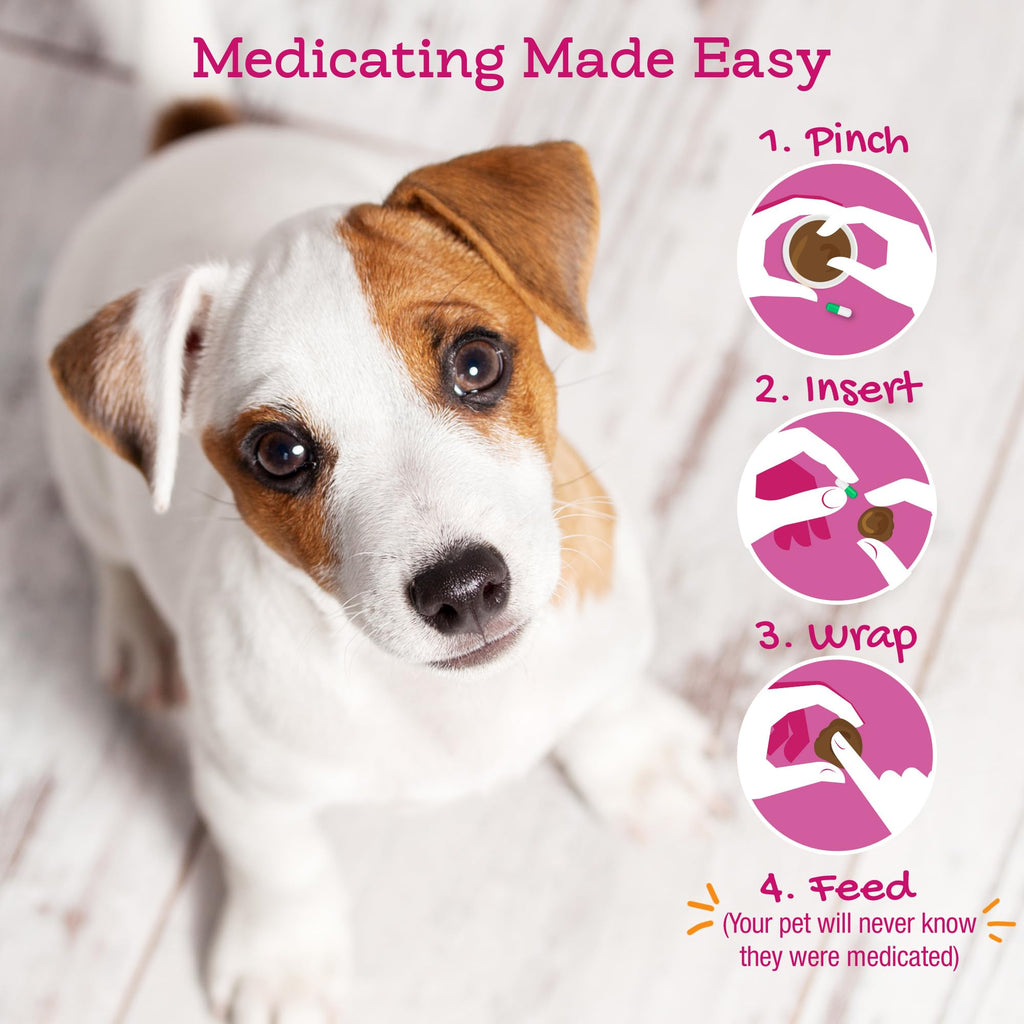 Cheese & Bacon Pill Paste for Dogs 4.2oz E171
