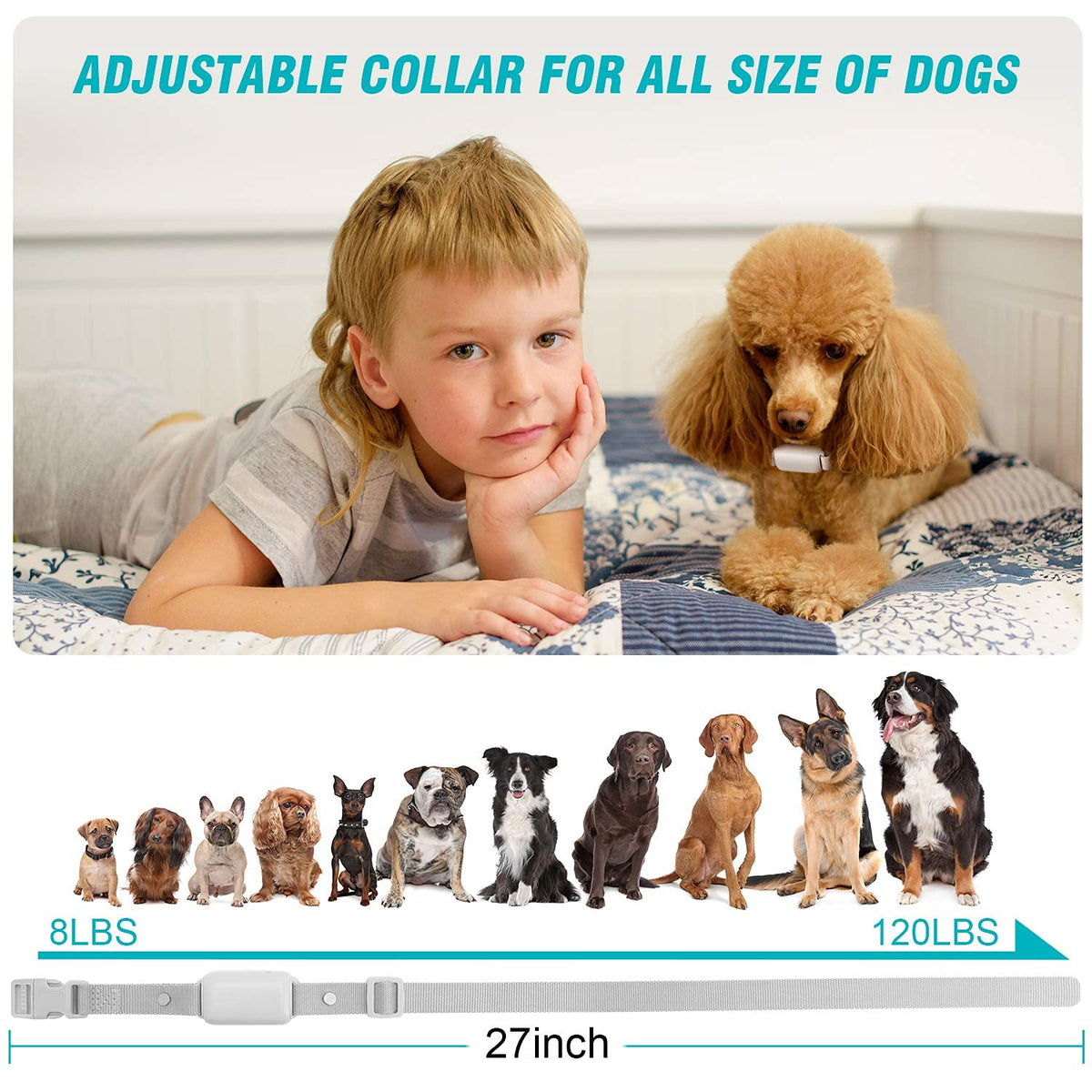 Waterproof Rechargeable Dog Training Collar with Remote N59538