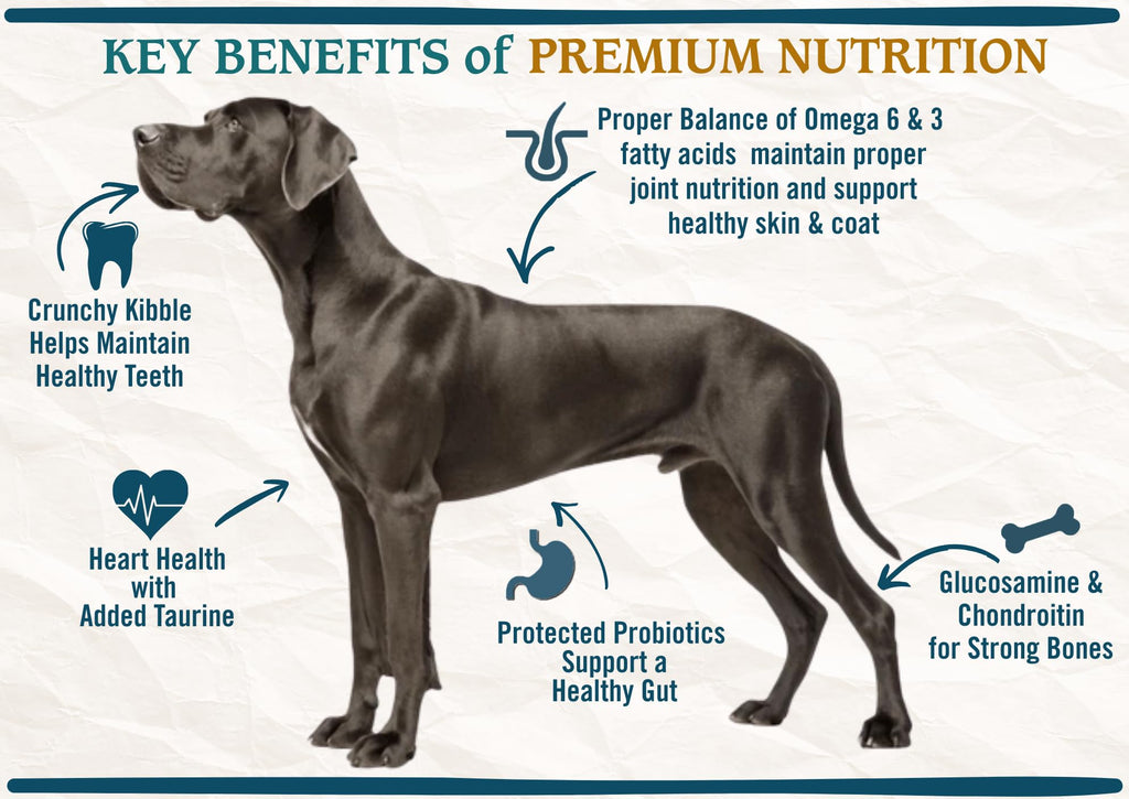 Large Breed Adult Dry Dog Food Chicken Brown Rice Turkey 28lb V4130