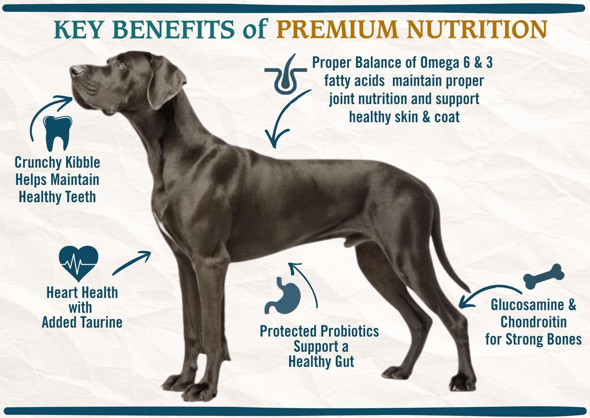 Large Breed Adult Dry Dog Food Chicken Brown Rice Turkey 28lb V4130