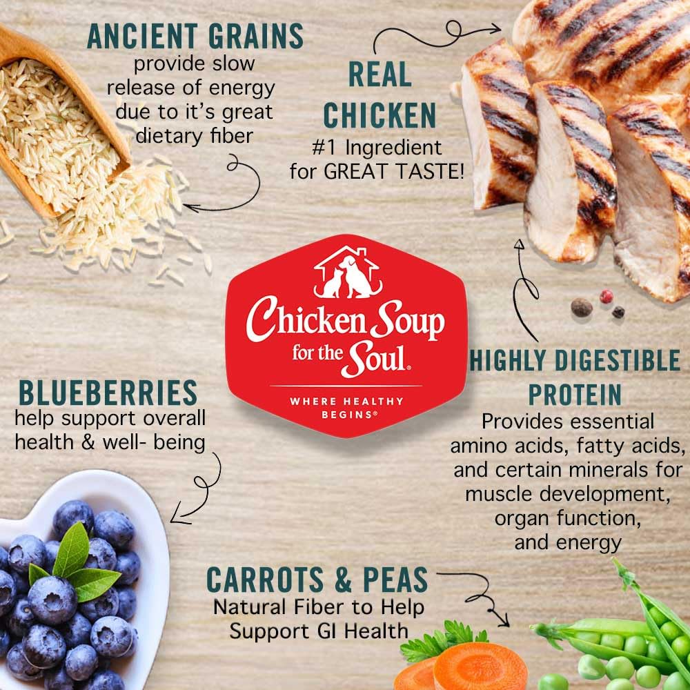 Large Breed Adult Dry Dog Food Chicken Brown Rice Turkey 28lb V4130