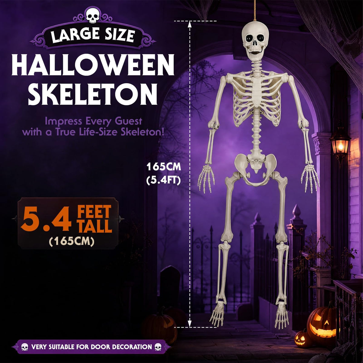5.4FT Plastic Full Body Skeleton with Movable Joints O61428