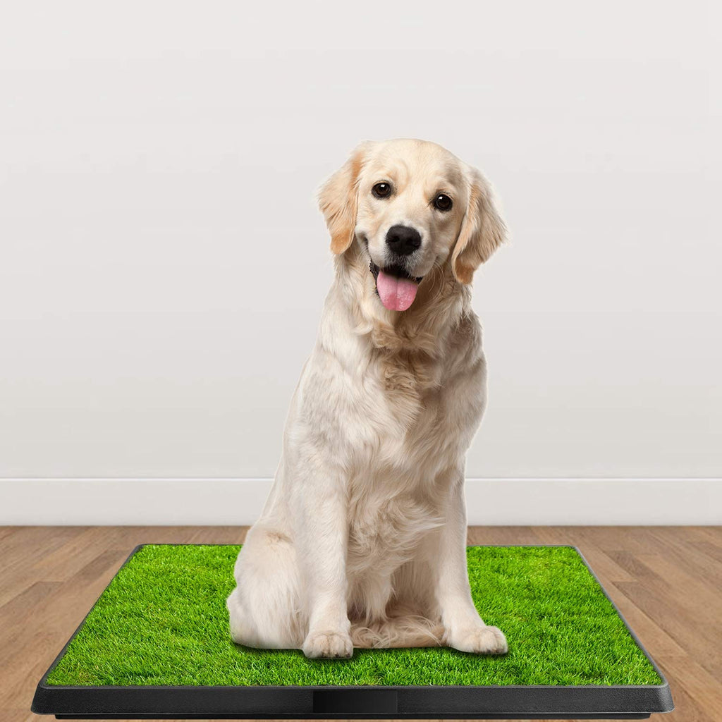 Indoor Dog Potty Grass Pad with Tray Z60345