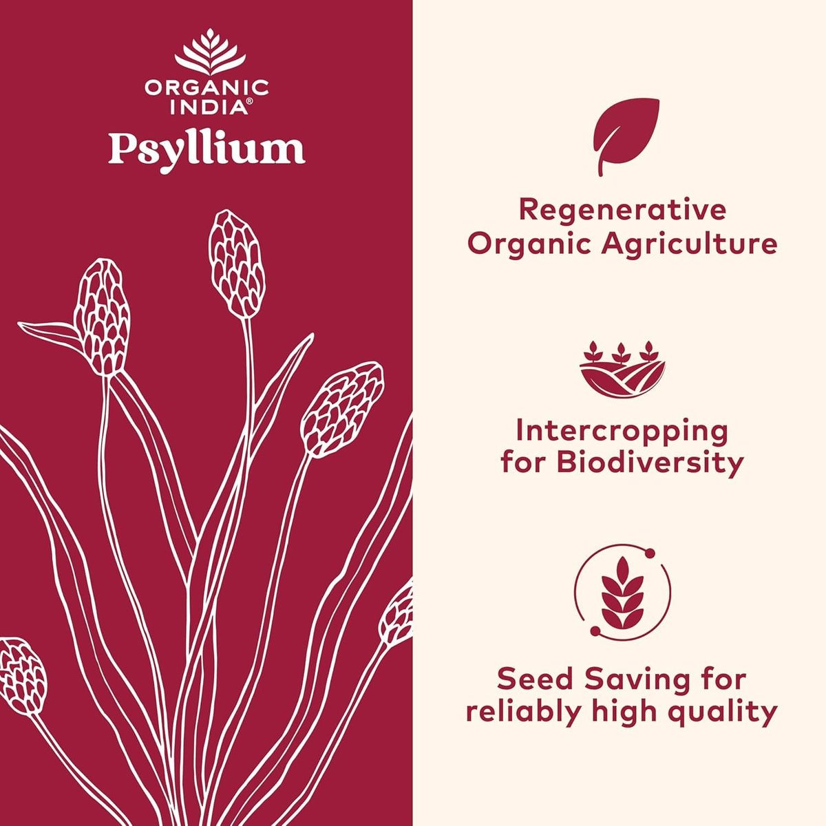 Whole Psyllium Husk Powder Organic Vegan 12 oz Z167
