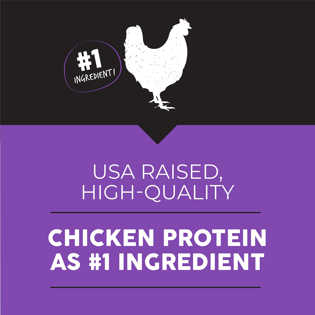 Chicken Meal & Rice Dry Dog Food, 28 lb L750