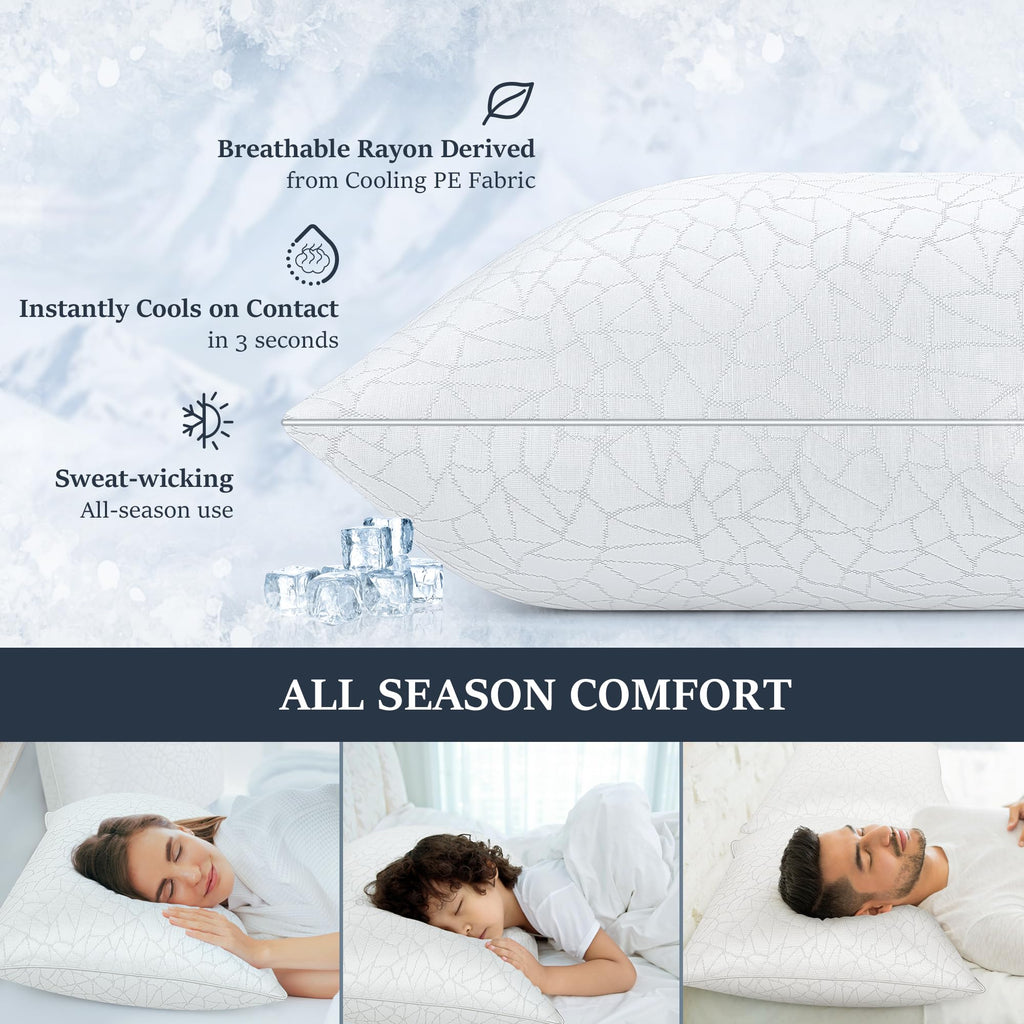 King Size Down Alternative Pillows Set of 2 H171362