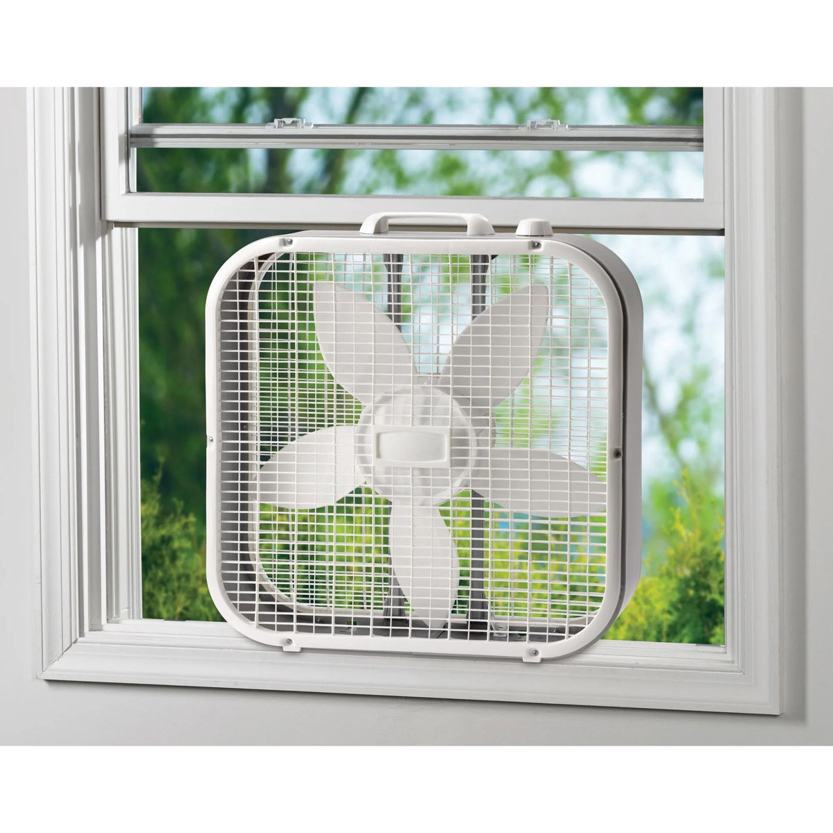 20-inch 5-Blade Box Fan D1224