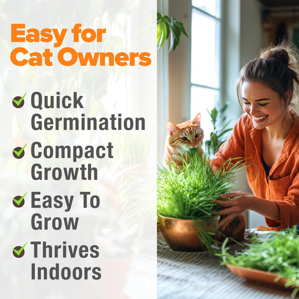 Indoor Cat Grass Refill 3,200+ Seeds W969840