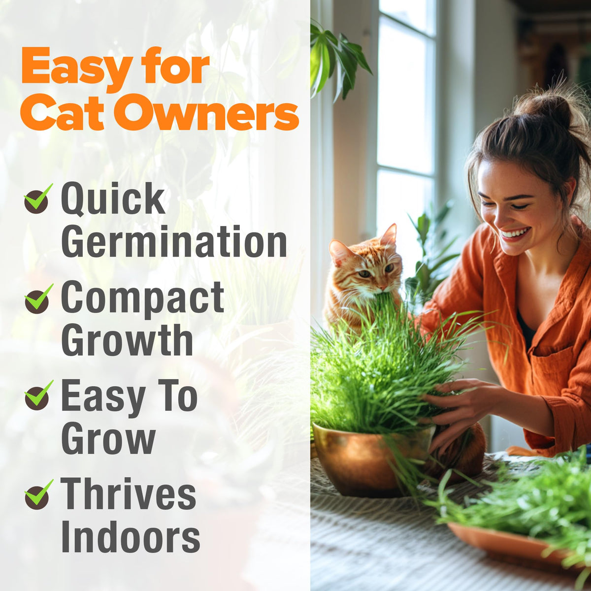 Indoor Cat Grass Refill 3,200+ Seeds W969840
