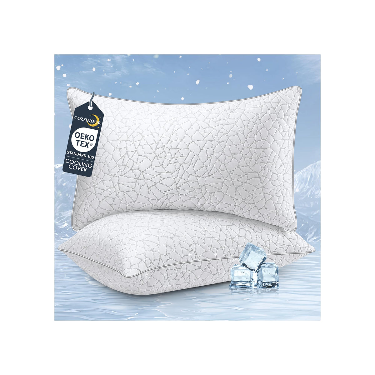 King Size Down Alternative Pillows Set of 2 H171362