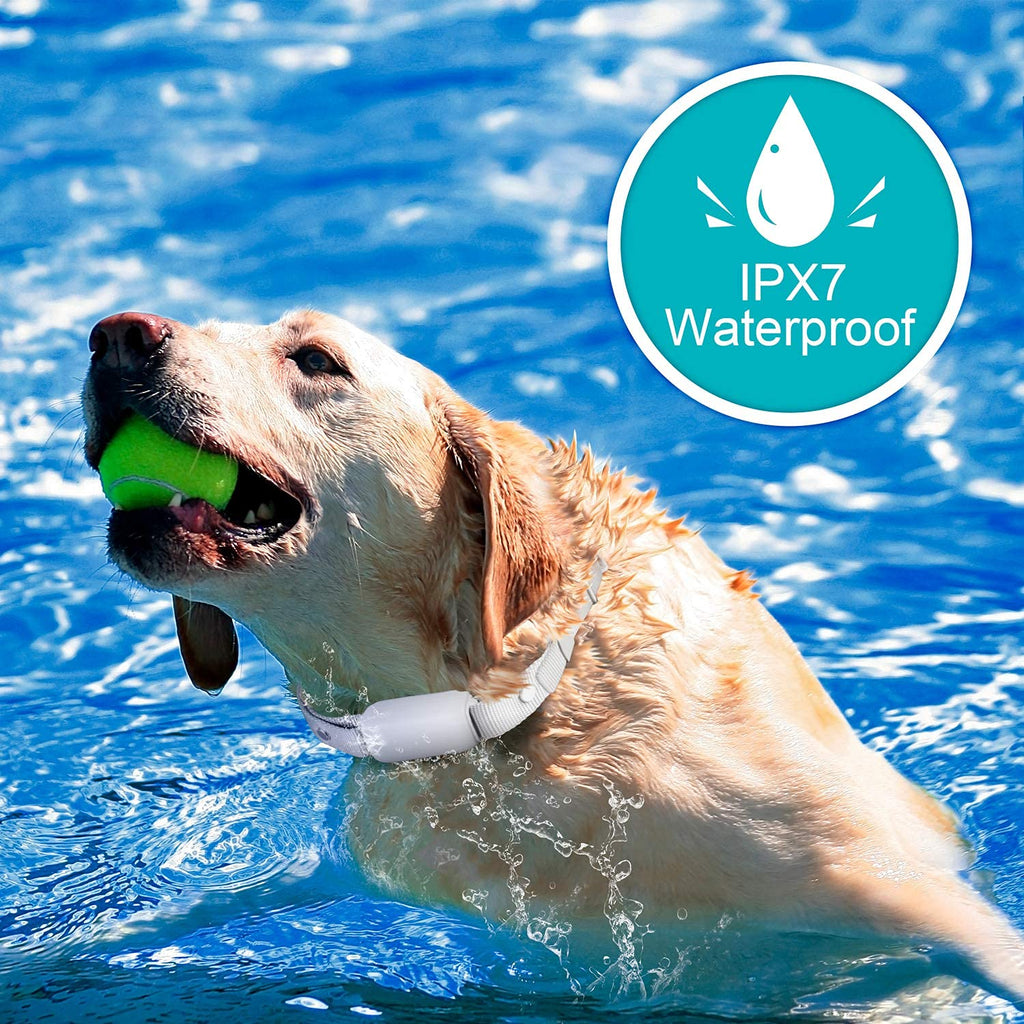 Waterproof Rechargeable Dog Training Collar with Remote N59538