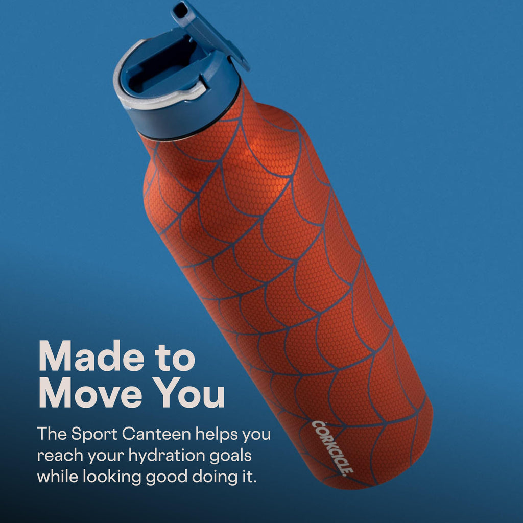 20 oz Water Bottle with Spill-Free Cap P7128
