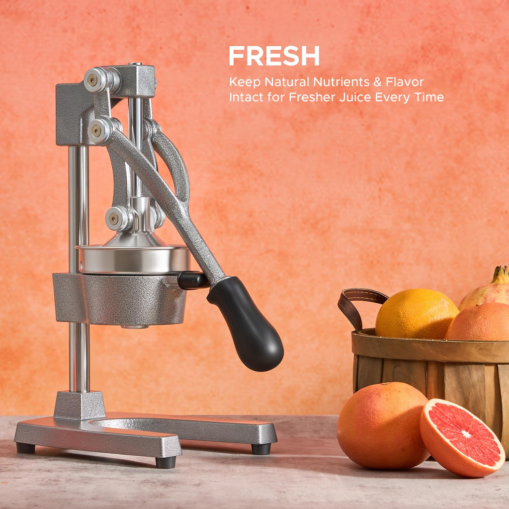 Cast Iron Manual Citrus Juicer with Strainer Y54807