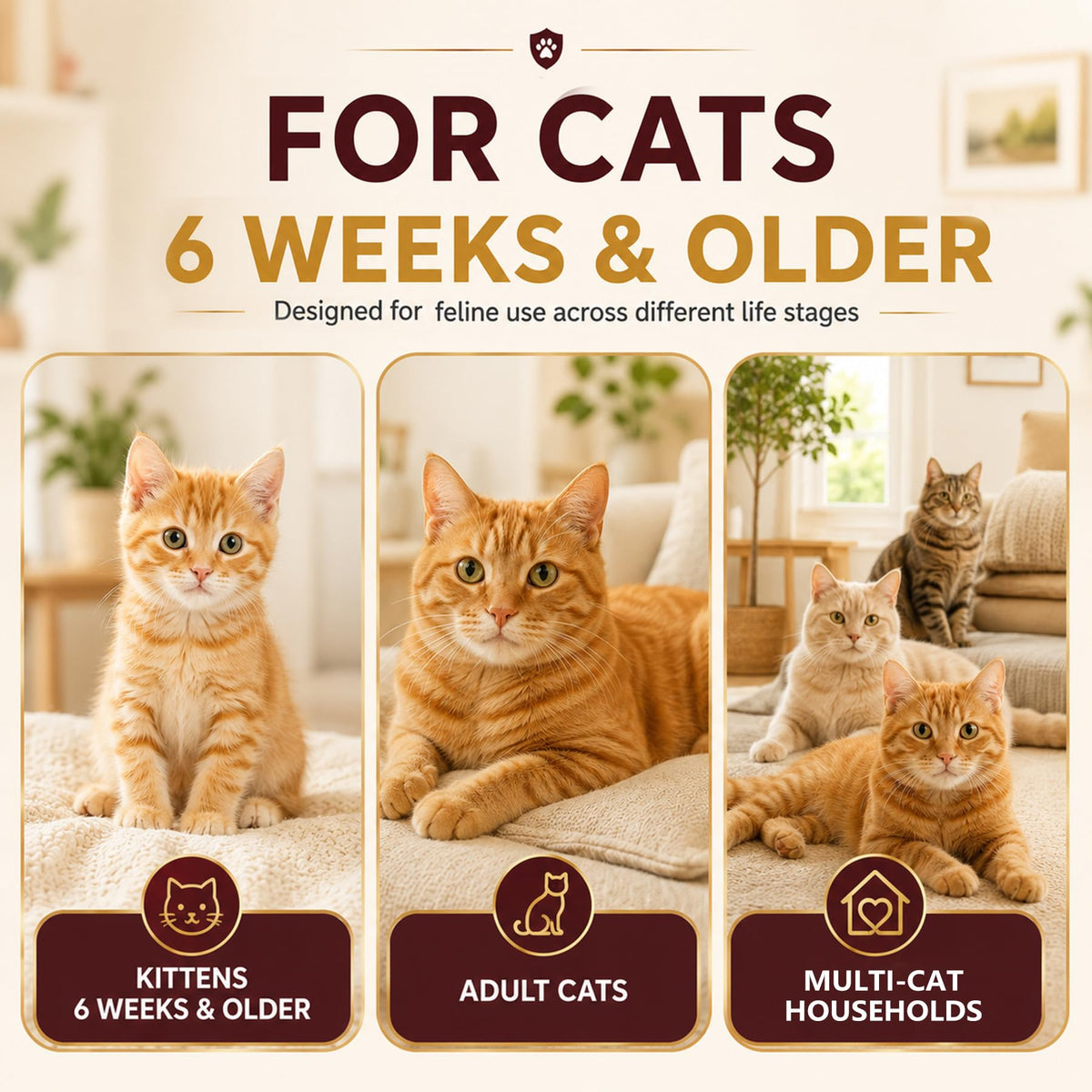 Cat Dewormer Tablets for Tapeworms, Roundworms & Hookworms V663090