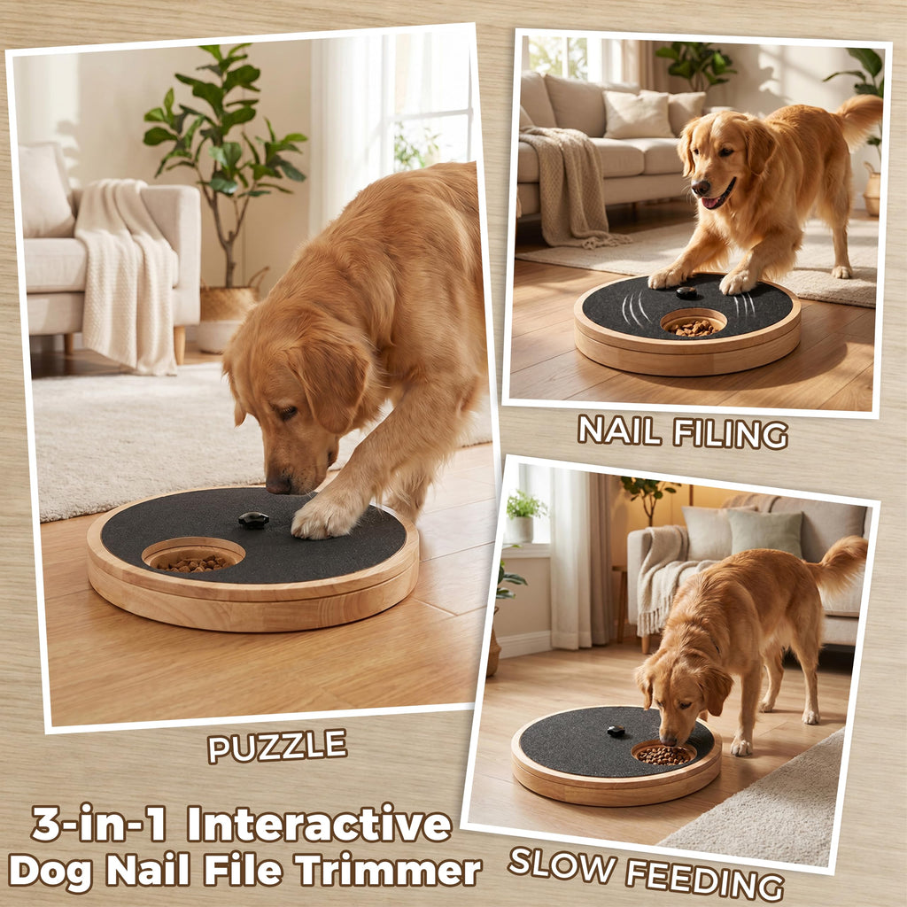 Dog Nail Scratch Board with Treat Box O930678