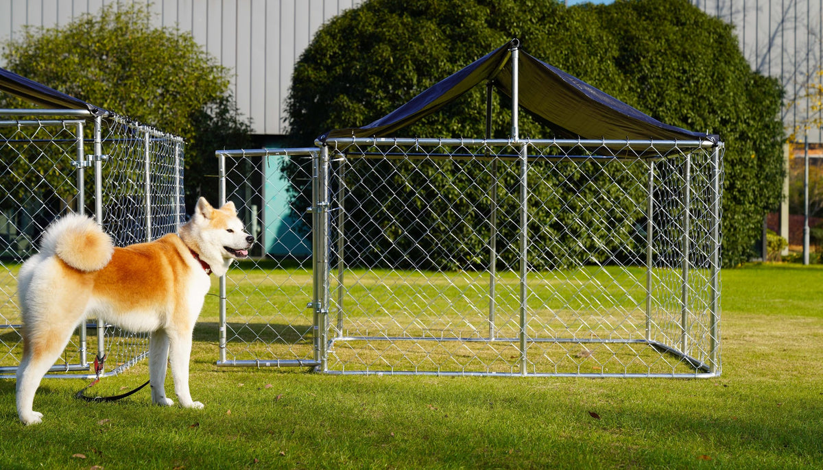 Heavy Duty Steel Dog Kennel with Secure Lock E2077