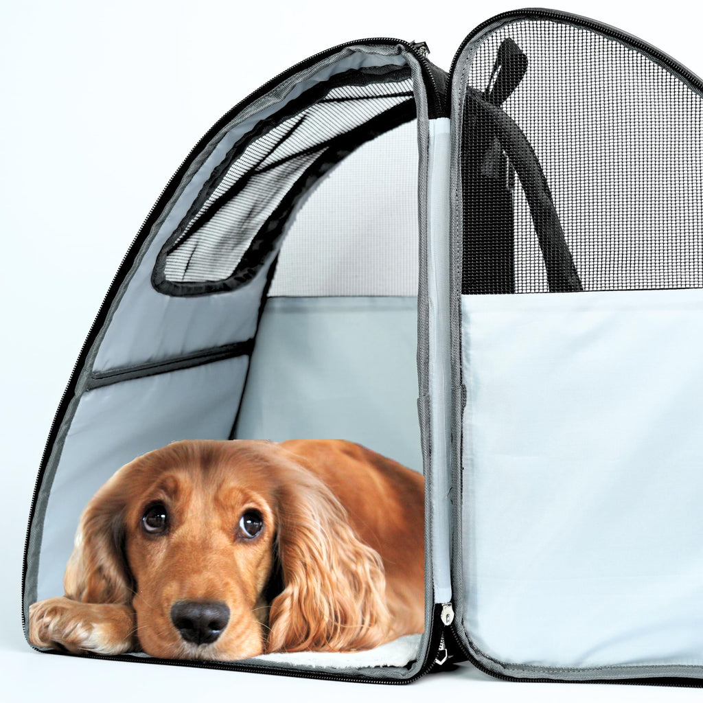 Pet Backpack Carrier for Dogs, Cats and Small Pets H646