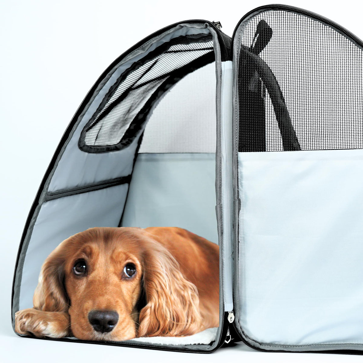 Pet Backpack Carrier for Dogs, Cats and Small Pets H646